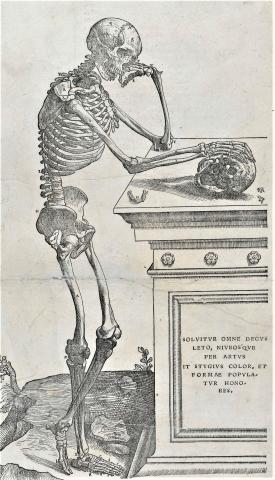 Image for An anatomical landmark: Vesalius, De humani corporis fabrica libri septem, 1543