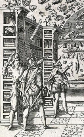 Image for Ferrante Imperato, 1599