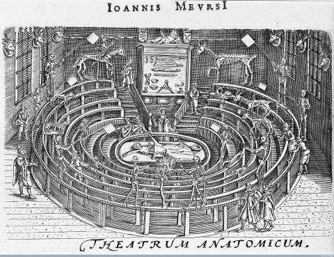 Image for Anatomical Theatres