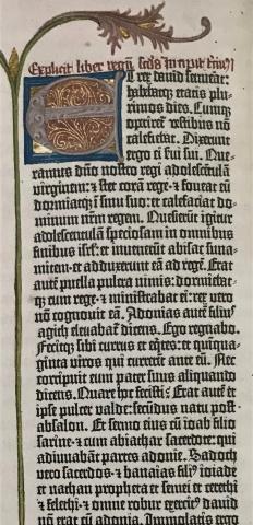 Image for The Gutenberg Bible