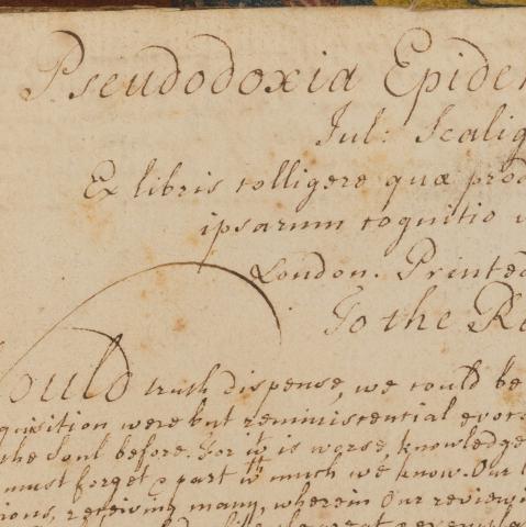 Image for Thomas Browne, Pseudodoxia Epidemica, manuscript on paper, 17th century