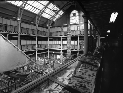 Image for Pitt Rivers Museum, looking north-east across the Court