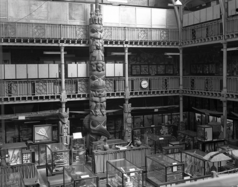 Image for Pitt Rivers Museum, looking south-east across the Court