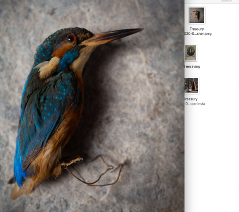 Image for Two kingfishers