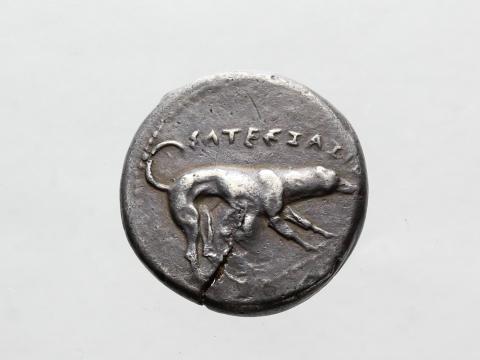 Image for BSH1: Silver didrachm of Segesta (Sicily) [Obverse]
