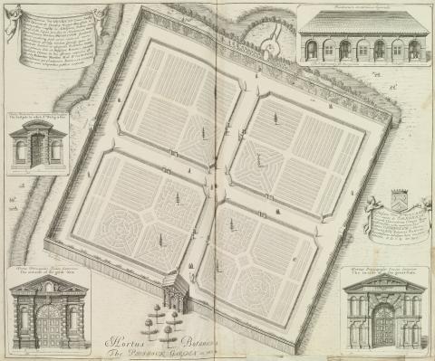 Image for Print entitled ‘Hortus Botanicus The Physick Garden in Oxon’ from David Loggan (1675) Oxonia illustrata, sive Omnium celeberrimae istius universitatis collegiorum, aularum, bibliothecae Bodleianae, scholarum publicarum, Theatri Sheldoniani; nec non urbis 