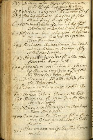 Image for Page from Bobart the Younger’s manuscript Catalogus Herbarum ex horto Botanico Oxoniensi and Altera pars Catologi ex Horto Botan: Oxon, dated 1676.