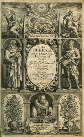 Image for Title page of John Gerard (1633) The herball, or, Generall historie of plantes. London, Printed by Adam Islip Joice Norton and Richard Whitakers.