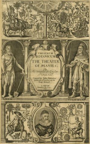 Image for Title page of John Parkinson (1640) Theatrum botanicum: the theater of plants. or, An herball of a large extent. London, Printed by Tho. Cotes.