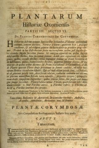 Image for First page of Robert Morison (1699) Plantarum historiae universalis Oxoniensis pars tertia seu Herbarum distributio nova,: per tabulas cognationis & affinitatis ex libro naturae observata & detecta. Oxonii, E theatro Sheldoniano.