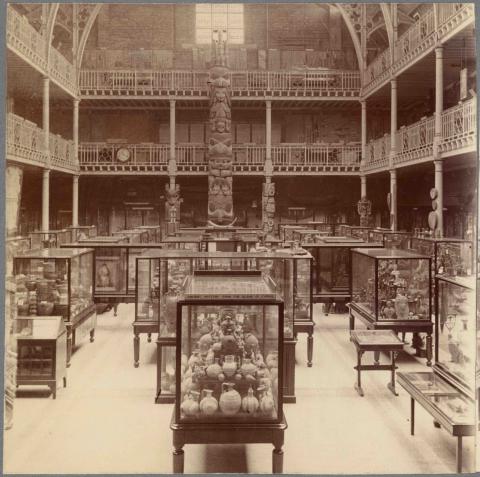 Image for Left Frame (1998.267.262.6a) - Pitt Rivers Museum, University of Oxford