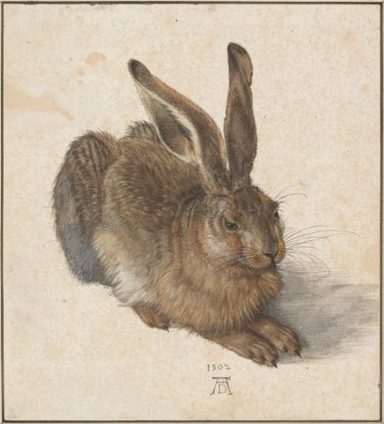 Image for Young Hare, 1502