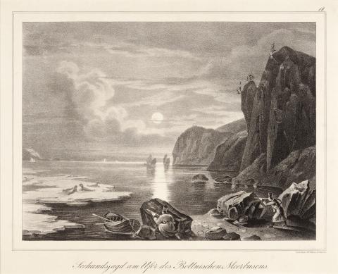 Image for Lithograph of men hunting sea lions