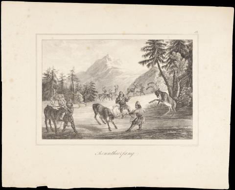 Image for Lithograph of Saami herding reindeer