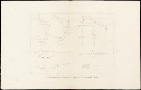 Image for Lithograph of antlers and weapons
