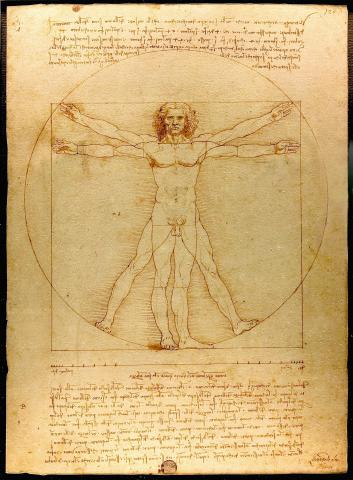 Image for Leonardo da Vinci, Vitruvian Man (c. 1492)