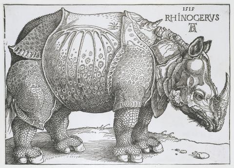 Image for Clone of Albrecht Durer, Rhinoceros (1515)