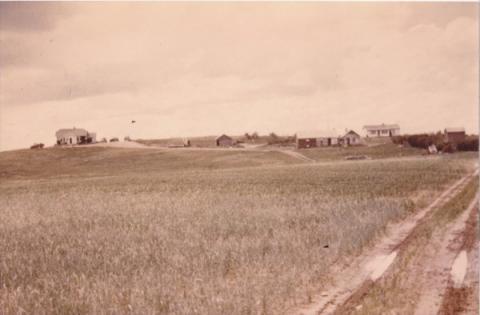 Image for Shepherd Family Homestead