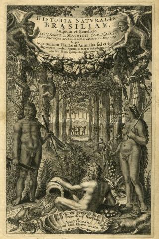 Image for Willem Piso and Georg Marggraf's 'Historia naturalis Brasiliae'