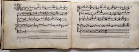 Image for Harmonice Musices Odhecaton 1501