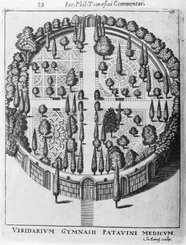 Image for Botanical garden in Padua, 1543