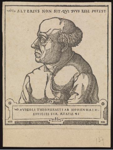 Image for Theophrastus von Hohenheim, called Paracelsus