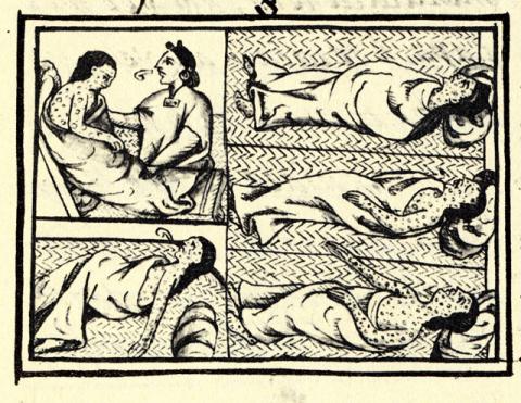 Image for Florentine Codex, Nahuas infected with smallpox (c. 1585)