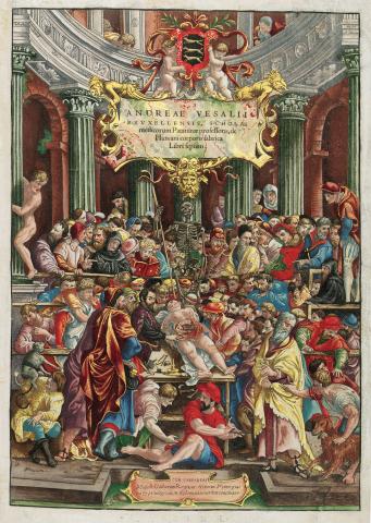 Image for Andreas Vesalius - De humani corporis fabrica (colour)