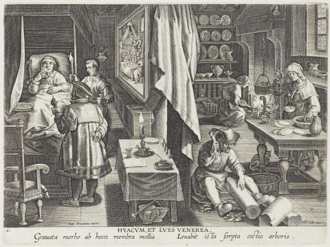 Image for Guaiacum and syphilis from the Nova reperta