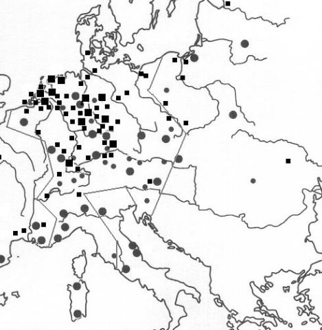 Image for The Reformation and the universities