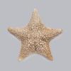 Image for Cushion starfish