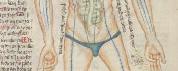 Image for Wellcome MS 49, folios 35v-37v  
