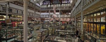 Image for Pitt Rivers Museum, looking north-east across the Court