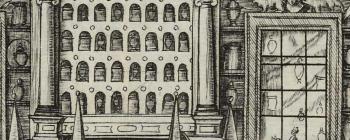 Image for From apothecary shop to cabinet of curiosities