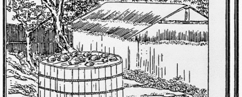 Image for Ancient Chinese papermaking