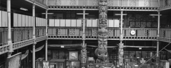 Image for Pitt Rivers Museum, looking east across the Court