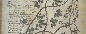 Image for Background: Botany in Ancient and Medieval Europe