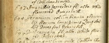 Image for Page from Bobart the Younger’s manuscript Catalogus Herbarum ex horto Botanico Oxoniensi and Altera pars Catologi ex Horto Botan: Oxon, dated 1676.