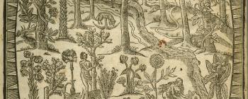 Image for Title page of John Parkinson (1629) Paradisi in sole paradisus terrestris, or, A garden of all sorts of pleasant flowers which our English ayre will permitt to be noursed vp: with a kitchen garden of all manner of herbes, rootes, & fruites, for meate or s