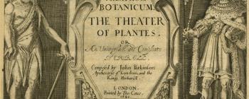 Image for Title page of John Parkinson (1640) Theatrum botanicum: the theater of plants. or, An herball of a large extent. London, Printed by Tho. Cotes.