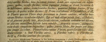 Image for First page of Robert Morison (1699) Plantarum historiae universalis Oxoniensis pars tertia seu Herbarum distributio nova,: per tabulas cognationis & affinitatis ex libro naturae observata & detecta. Oxonii, E theatro Sheldoniano.