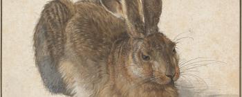 Image for Young Hare, 1502