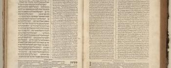 Image for The Antwerp polyglot