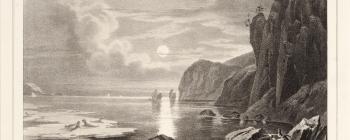 Image for Lithograph of men hunting sea lions