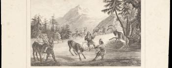 Image for Lithograph of Saami herding reindeer