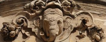 Image for Indian Elephant