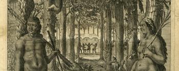 Image for Willem Piso and Georg Marggraf's 'Historia naturalis Brasiliae'