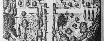 Image for Botanical garden in Padua, 1543