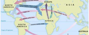 Image for Map of goods and disease moved in the Columbian Exchange