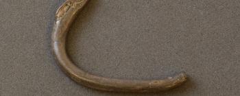 Image for Handle